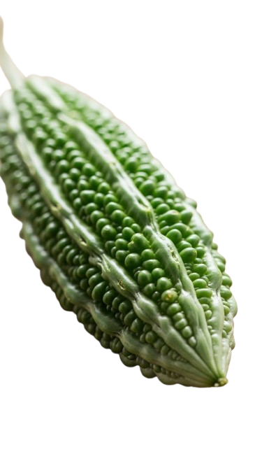 Bitter Gourd