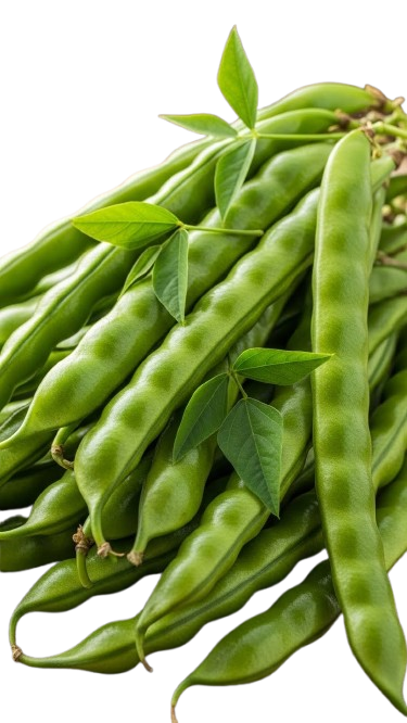 Green Beans