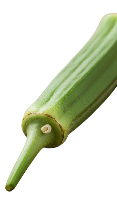 Okra