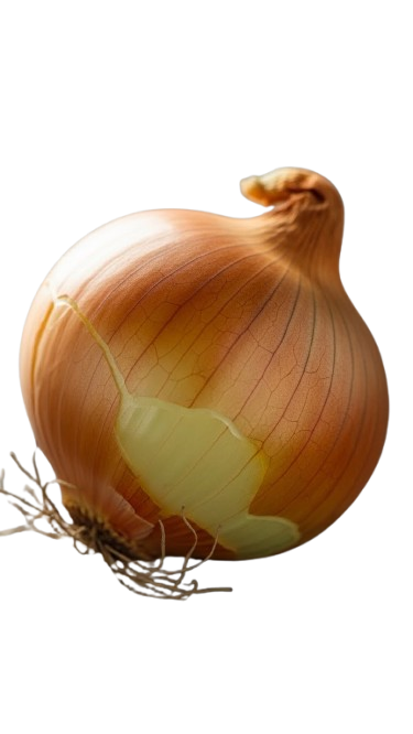 Onion