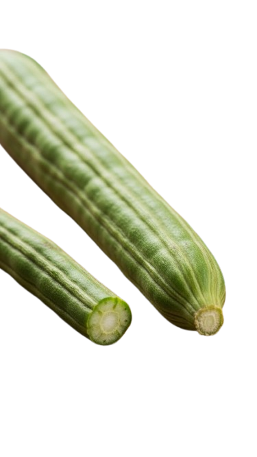 Ridge Gourd